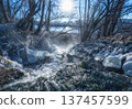 Unfrozen stream in winter with ice formations and steam in the sun 137457599