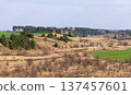 Hilly early spring landscape with green fields and dry grass 137457601