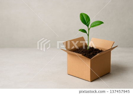 The plant grows from the ground in a box. Space for text. The plant grows from the ground in a box. Space for text. 137457945