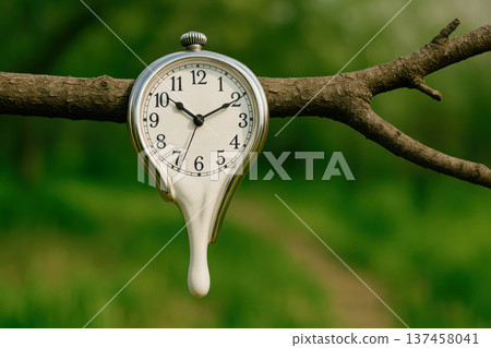 A melting clock hangs on a branch. A melting clock hangs on a branch. 137458041