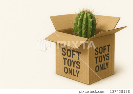Cactus in a box labeled SOFT TOYS ONLY. Space for text. 137458128