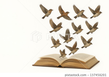 A book from which birds fly out. Space for text. 137458201