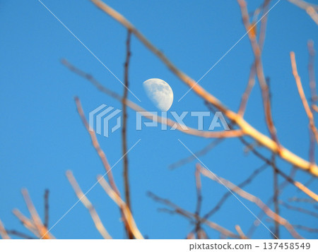 一輪彎月懸掛在冬日傍晚的藍色夜空中。 一輪彎月懸掛在冬日傍晚的藍色夜空中。 137458549