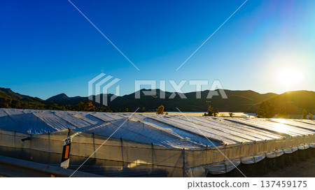 Plastic greenhouses on coast, Spain 137459175