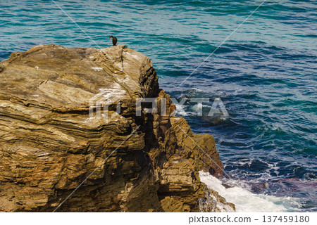 Cathedral Beach in Galicia Spain. Cathedral Beach in Galicia Spain. 137459180