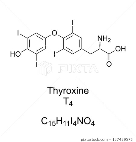 Thyroxine, T4, chemical formula and molecular structure. Hormone produced by the thyroid gland. Essential for metabolic rate, heart and muscle function, brain development, and bone health. Vector 137459575