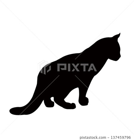 a cat body silhouette vector 137459796