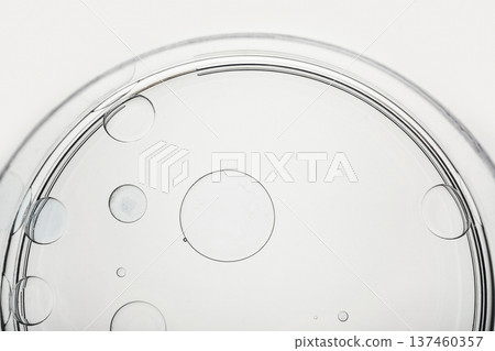 Clear petri dish containing water and oil drops on white background 137460357