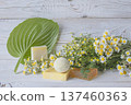 Natural handmade soap with chamomile and bath bomb. Natural handmade soap and chamomile flowers on a white wooden background. 137460363