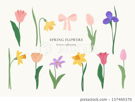 Hand drawn botanical set of spring flowers in vibrant colors. Elegant purple iris yellow narcissus and pink tulips with butterflies and bows. Perfect for wedding invitations and floral design. Hand drawn botanical set of spring flowers in vibrant colors. Elegant purple iris yellow narcissus and pink tulips with butterflies and bows. Perfect for wedding invitations and floral design. 137460370