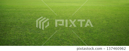 Soccer field Soccer field 137460962