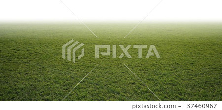 football, soccer, grass 137460967