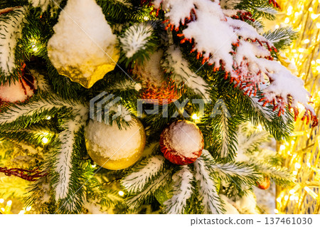snow-covered banch of christmas tree with balls snow-covered banch of christmas tree with balls 137461030