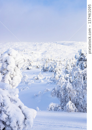 snowy mount slope near Kandalaksha town in winter snowy mount slope near Kandalaksha town in winter 137461095