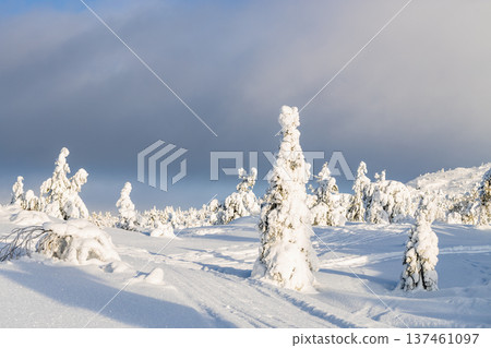 snowy road on hill near Kandalaksha town in winter snowy road on hill near Kandalaksha town in winter 137461097