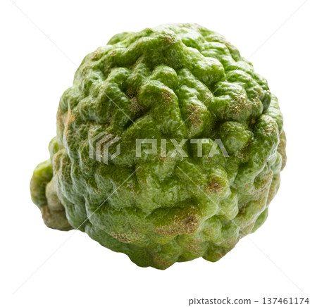 natural fresh thai lime fruit isolated on white natural fresh thai lime fruit isolated on white 137461174