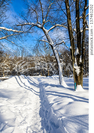 path trodden deep snowdrifts in snowy city park path trodden deep snowdrifts in snowy city park 137461202