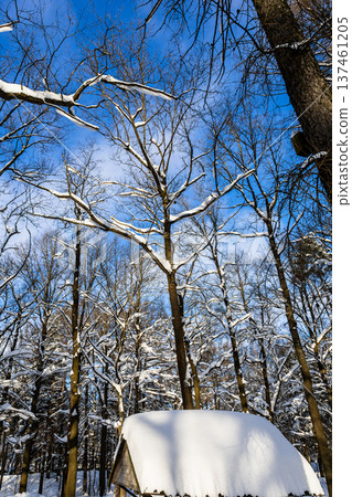 snow-covered roof of cabin in forest of city park snow-covered roof of cabin in forest of city park 137461205