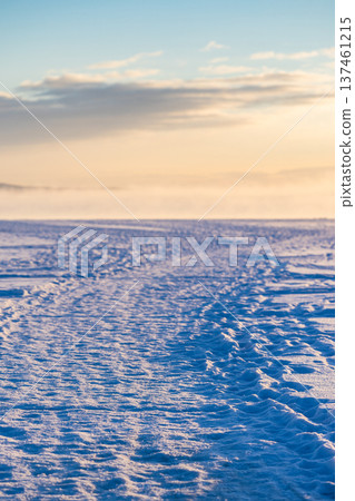 trodden path on snowy surface of Kandalaksha bay trodden path on snowy surface of Kandalaksha bay 137461215