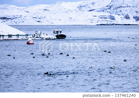 moored frozen boat in Teriberka village in winter moored frozen boat in Teriberka village in winter 137461240