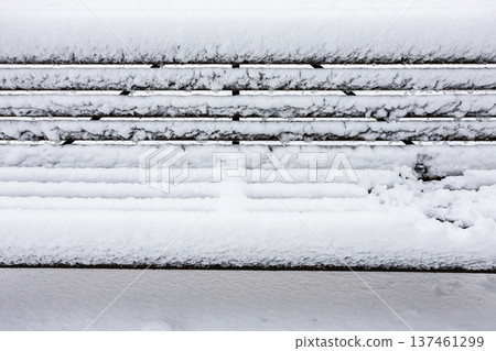 snow-covered seat of wooden bench in city garden 137461299