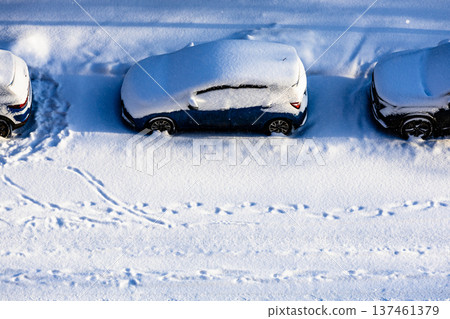 snow-covered parked cars on street after snowfall 137461379