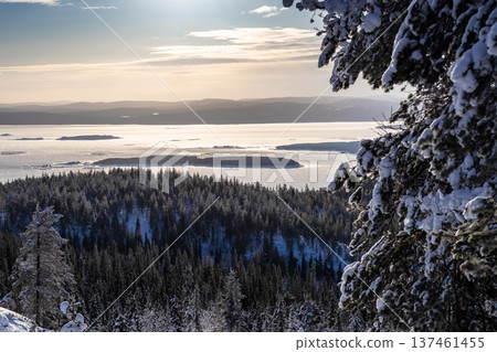 aerial view of Kandalaksha gulf in winter evening aerial view of Kandalaksha gulf in winter evening 137461455