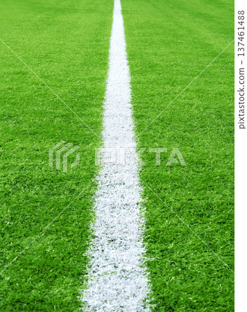 Soccer field touchline 137461488