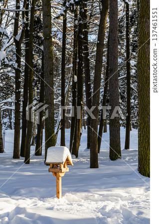 wooden bird feeder on clearing in snowy forest 137461551