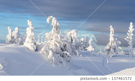 snow-covered slopes on hill near Kandalaksha town snow-covered slopes on hill near Kandalaksha town 137461572