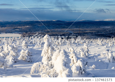 above view of snowy forest on hill , Kandalaksha 137461573