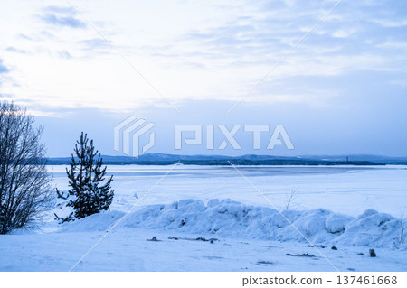 frozen water of Kandalaksha bay in winter morning 137461668