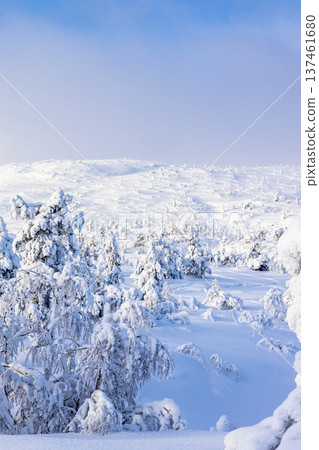 snowy hill slope near Kandalaksha town in winter snowy hill slope near Kandalaksha town in winter 137461680
