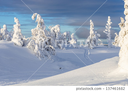 snow-covered slopes on mount near Kandalaksha town snow-covered slopes on mount near Kandalaksha town 137461682