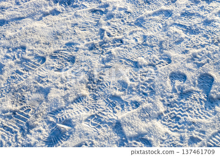 sunlit snowy ground with winter boot prints 137461709