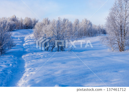 trodden path at snowy Zelenaya hill, Murmansk city trodden path at snowy Zelenaya hill, Murmansk city 137461712