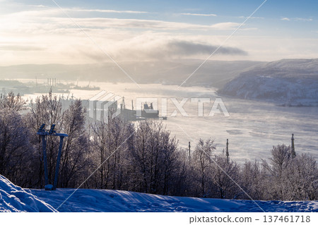 bare trees and view of seaport in Murmansk cty 137461718