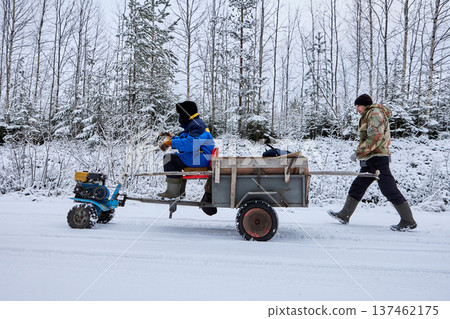 Two wheel tractor with trailer travels along forest road driven by farmer second farmer walks behind in snowy winter woodland. Two wheel tractor with trailer travels along forest road driven by farmer second farmer walks behind in snowy winter woodland. 137462175