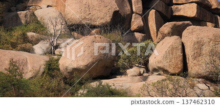 Big round granite boulder and cactus in Basapur, Hampi, India. Big round granite boulder and cactus in Basapur, Hampi, India. 137462310
