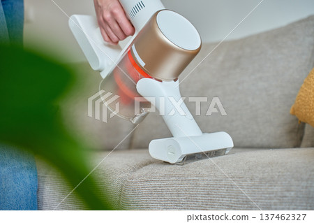 Woman cleaning fabric sofa with handheld vacuum cleaner in living room 137462327
