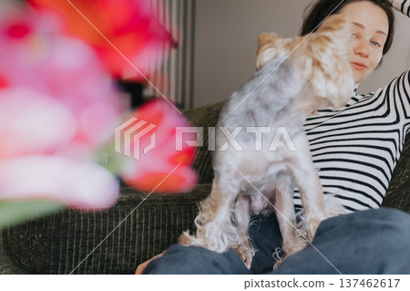 Happy young white woman relaxing at home with her small dog on the sofa. Lifestyle moment of friendship and pet care. Cozy interior with flowers. Concept of pet parenthood and emotional well-being. Happy young white woman relaxing at home with her small dog on the sofa. Lifestyle moment of friendship and pet care. Cozy interior with flowers. Concept of pet parenthood and emotional well-being. 137462617