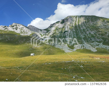 Wide alpine meadow in Durmitor National Park Wide alpine meadow in Durmitor National Park 137462636