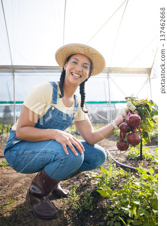Greenhouse, portrait of happy woman holding beetroot at sustainable small business in agriculture and organic food. Girl working at agro farm, vegetable growth in garden and eco friendly with smile. 137462668