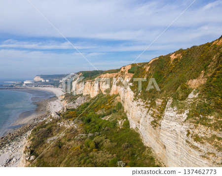 Aerial View of Saint Jouin Bruneval Beach with Waves and Cliffs Aerial View of Saint Jouin Bruneval Beach with Waves and Cliffs 137462773