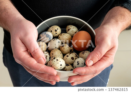 Man Holding Bowl with Fresh Farm Eggs Man Holding Bowl with Fresh Farm Eggs 137462815
