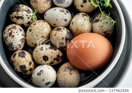 Healthy Farm Eggs in White Bowl Healthy Farm Eggs in White Bowl 137462886
