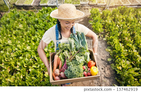 Farmer, woman and vegetables box for agriculture, sustainability or farming in greenhouse and agro business. worker with green harvest or gardening in commerce, food product or groceries basket above Farmer, woman and vegetables box for agriculture, sustainability or farming in greenhouse and agro business. worker with green harvest or gardening in commerce, food product or groceries basket above 137462919