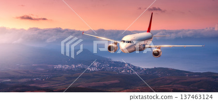 Commercial passenger airplane flying over sea coast and mountains 137463124