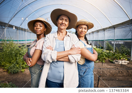 Farming, portrait of group of women with confidence in greenhouse and sustainable small business in agriculture. Happy farmer team at vegetable farm, agro growth diversity and eco friendly plants. Farming, portrait of group of women with confidence in greenhouse and sustainable small business in agriculture. Happy farmer team at vegetable farm, agro growth diversity and eco friendly plants. 137463384