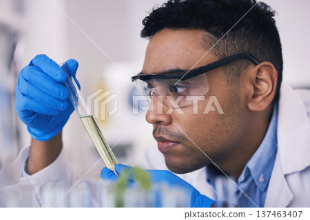 Science, man and green solution in test tube in laboratory, research and thinking with plants in nature. Biotechnology, eco study and scientist with leaves, lab technician checking leaf in glass. Science, man and green solution in test tube in laboratory, research and thinking with plants in nature. Biotechnology, eco study and scientist with leaves, lab technician checking leaf in glass. 137463407